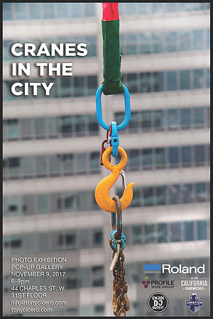 Cranes in the City Flyer